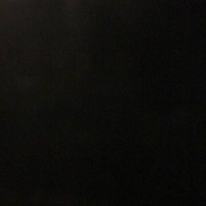 Meet your Posher, Bryce